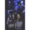 Pop Culture Graphics Harry Potter and the Prisoner of Azkaban Movie Poster Print (11 x 17) - Item MOVGF1515